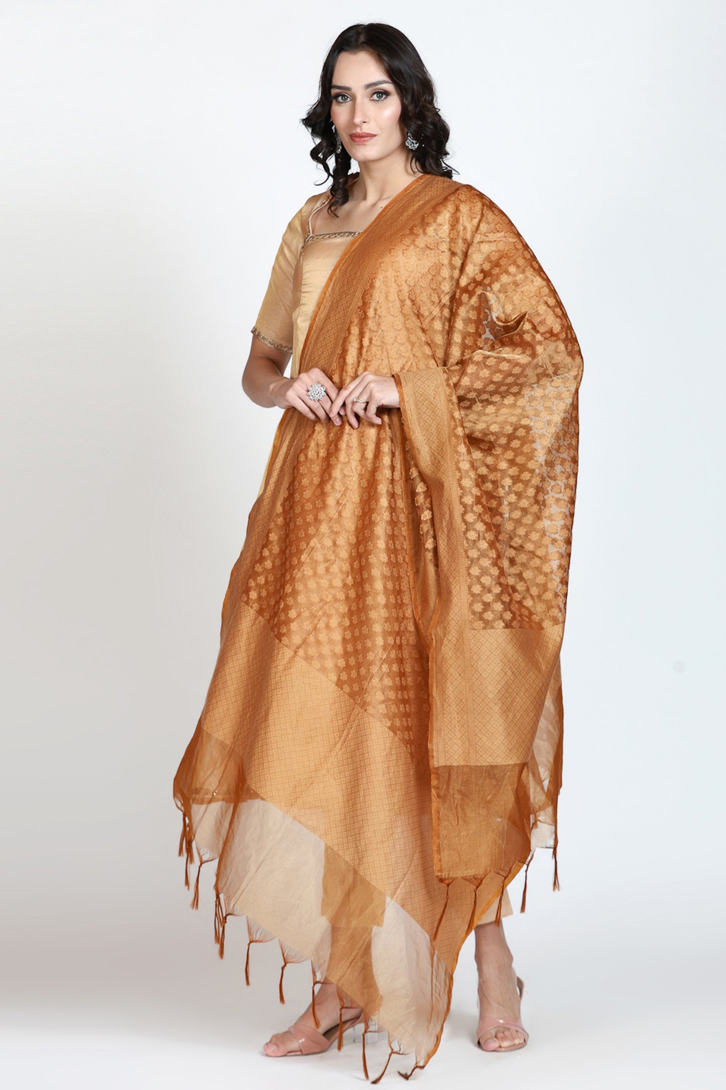 Bronze Tissue Banarasi Duppatta