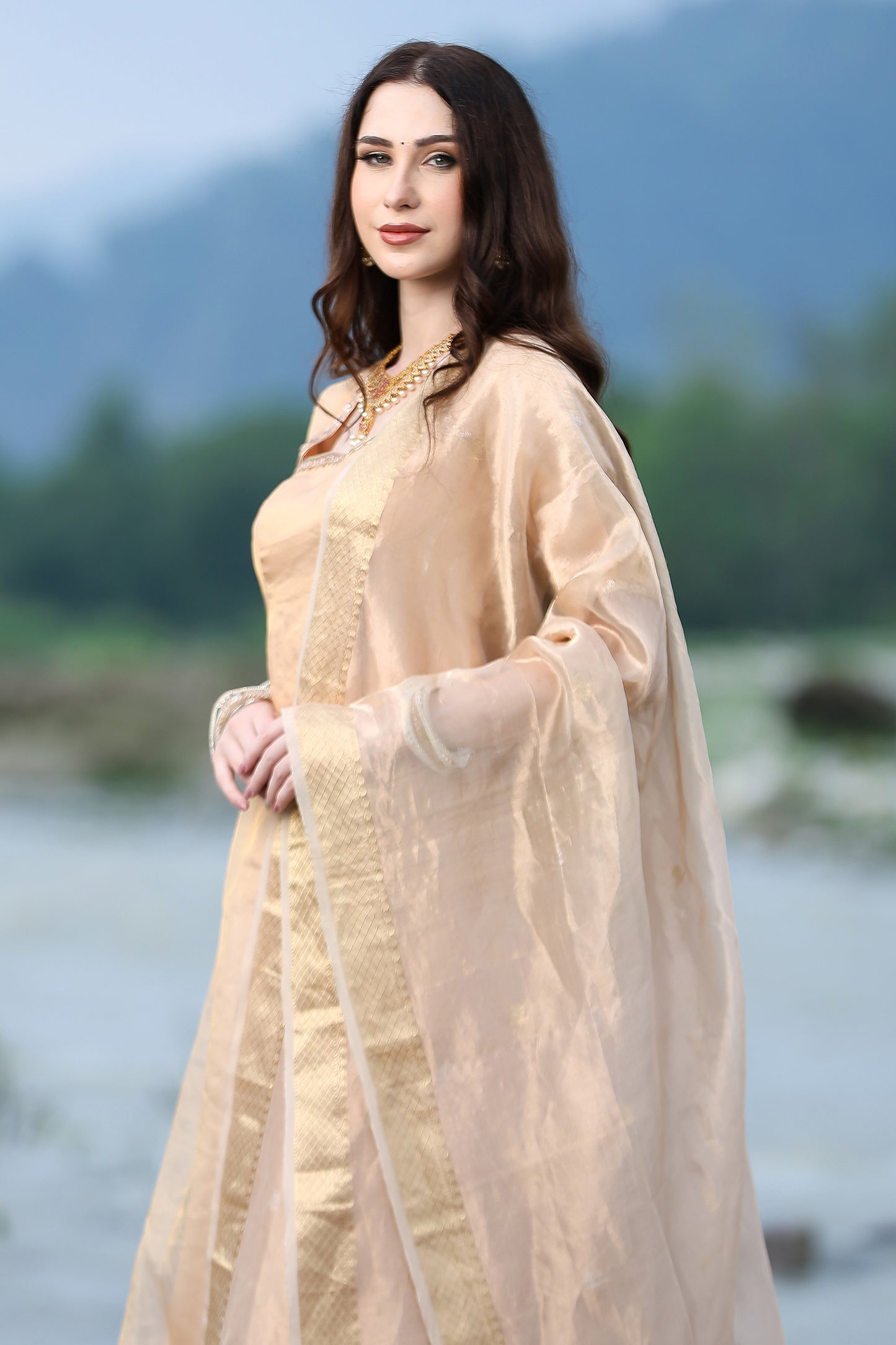 Rose Gold Tissue Handloom Banarasi Duppatta