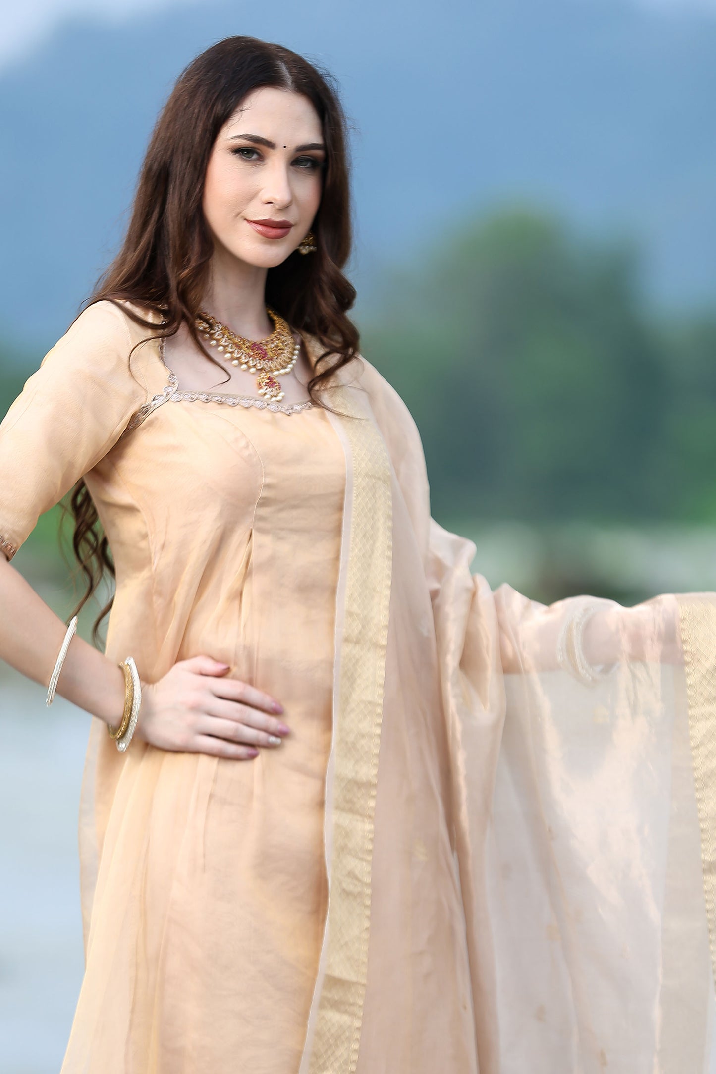 Rose Gold Handloom Tissue Kurta Set