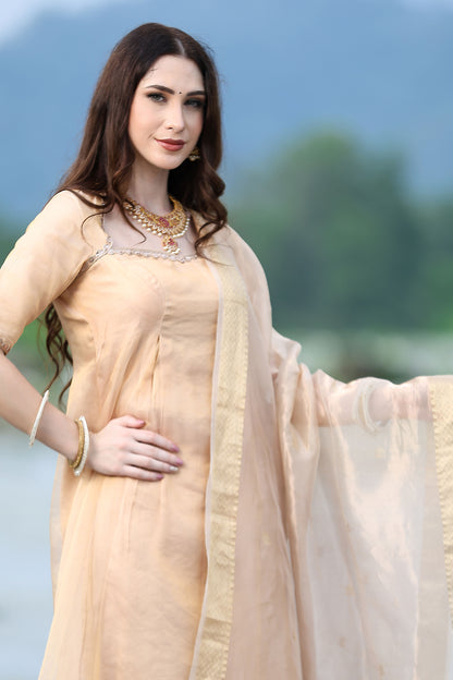 Rose Gold Handloom Tissue Kurta Set